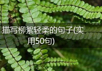 描写柳絮轻柔的句子(实用50句)