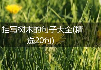 描写树木的句子大全(精选20句)