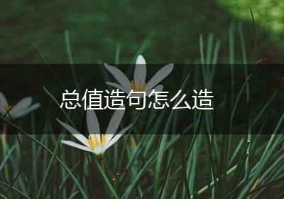 总值造句怎么造