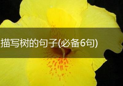 描写树的句子(必备6句)