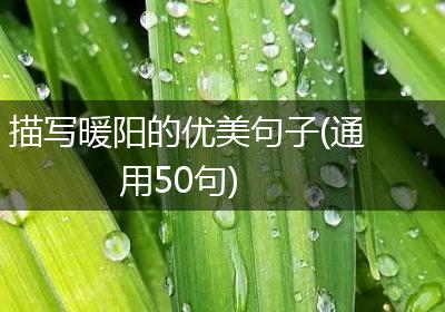 描写暖阳的优美句子(通用50句)