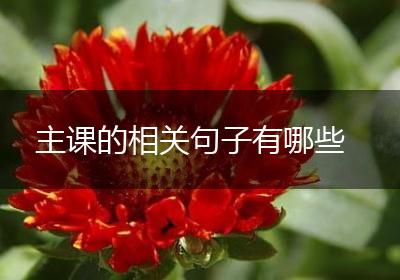 主课的相关句子有哪些