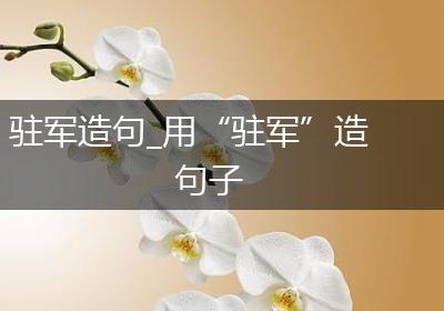 驻军造句_用“驻军”造句子