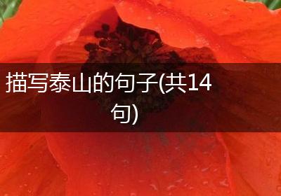描写泰山的句子(共14句)