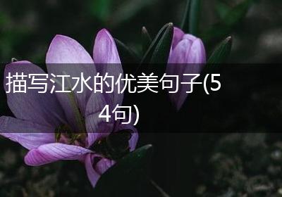 描写江水的优美句子(54句)