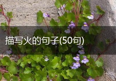 描写火的句子(50句)