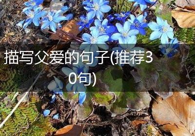 描写父爱的句子(推荐30句)