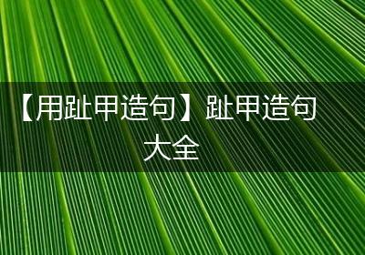 【用趾甲造句】趾甲造句大全