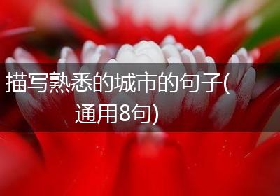 描写熟悉的城市的句子(通用8句)