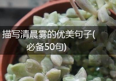 描写清晨雾的优美句子(必备50句)