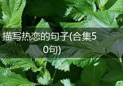 描写热恋的句子(合集50句)