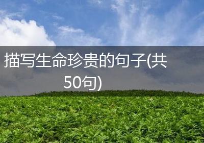 描写生命珍贵的句子(共50句)