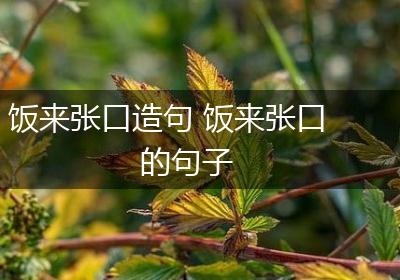 饭来张口造句 饭来张口的句子