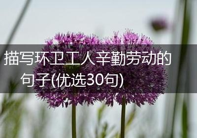 描写环卫工人辛勤劳动的句子(优选30句)