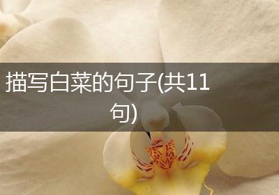 描写白菜的句子(共11句)