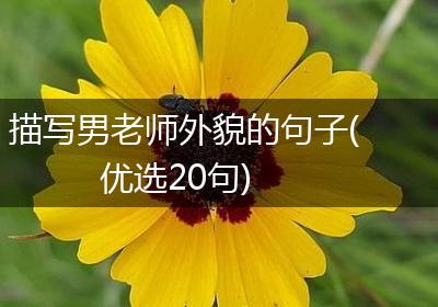 描写男老师外貌的句子(优选20句)
