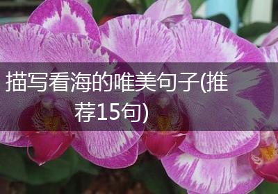 描写看海的唯美句子(推荐15句)