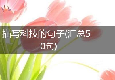 描写科技的句子(汇总50句)