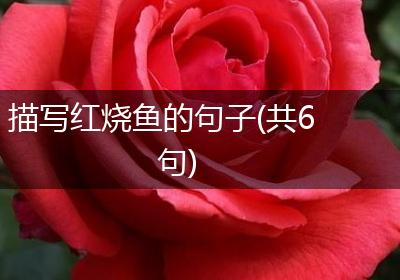 描写红烧鱼的句子(共6句)