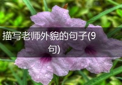 描写老师外貌的句子(9句)