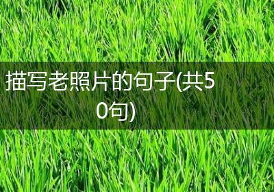 描写老照片的句子(共50句)