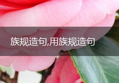 族规造句,用族规造句