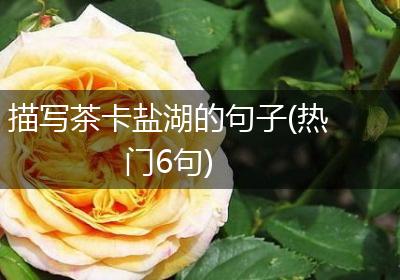 描写茶卡盐湖的句子(热门6句)