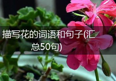 描写花的词语和句子(汇总50句)