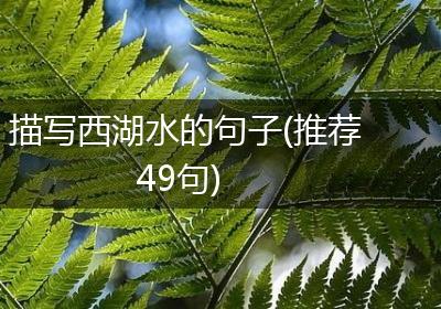 描写西湖水的句子(推荐49句)