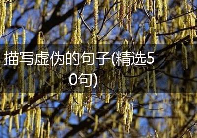 描写虚伪的句子(精选50句)
