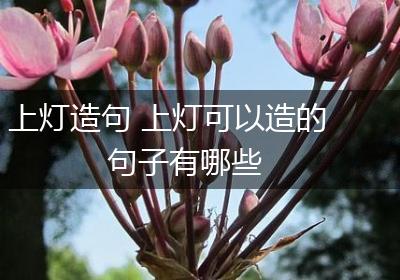 上灯造句 上灯可以造的句子有哪些