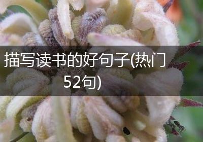 描写读书的好句子(热门52句)
