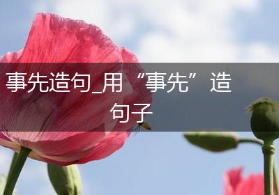 事先造句_用“事先”造句子