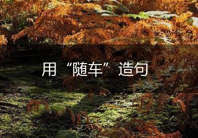 用“随车”造句