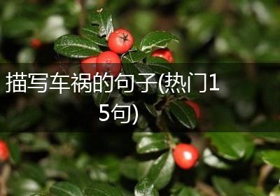 描写车祸的句子(热门15句)