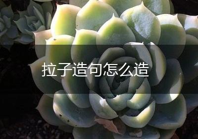 拉子造句怎么造