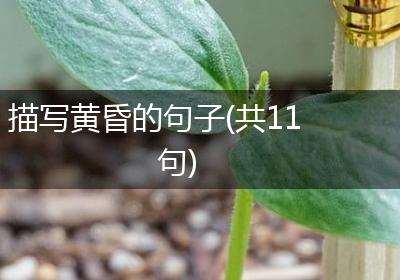 描写黄昏的句子(共11句)