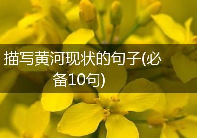 描写黄河现状的句子(必备10句)