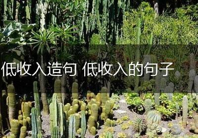 低收入造句 低收入的句子