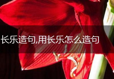 长乐造句,用长乐怎么造句