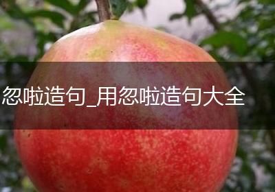 忽啦造句_用忽啦造句大全