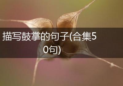 描写鼓掌的句子(合集50句)