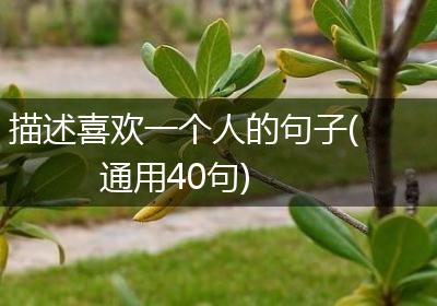 描述喜欢一个人的句子(通用40句)