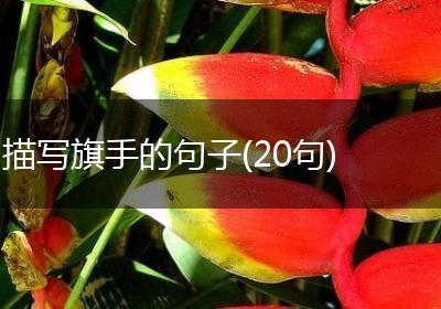 描写旗手的句子(20句)