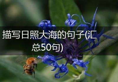 描写日照大海的句子(汇总50句)