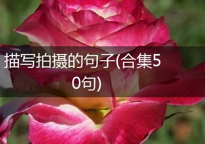 描写拍摄的句子(合集50句)