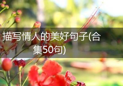 描写情人的美好句子(合集50句)