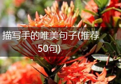 描写手的唯美句子(推荐50句)
