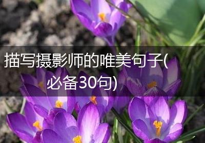描写摄影师的唯美句子(必备30句)