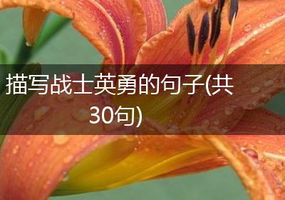 描写战士英勇的句子(共30句)